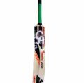 CA Vision 2000 Cricket Bat. 