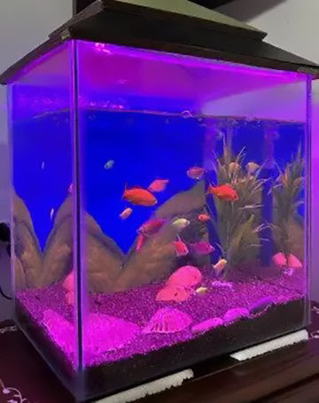 Aquarium light price best sale