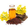 Organic Mustard Oil Pakistan || Cold Pressed Mustard Oil || Cooking Oil Daraz || Hair Care Oil || 100% Pure Mustard Oil || Natural Cooking Oil || Hair Growth Oil || Organic Oil for Hair || Best Cooking Oil Pakistan || Mustard Oil in 250ml,500ml and 1000ml. 