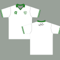 Latest Pakistan Football Kit - Pakistan football jersey 23/24 - PFF Football Shirt - Latest Football Jersey - Customized Name and number. 