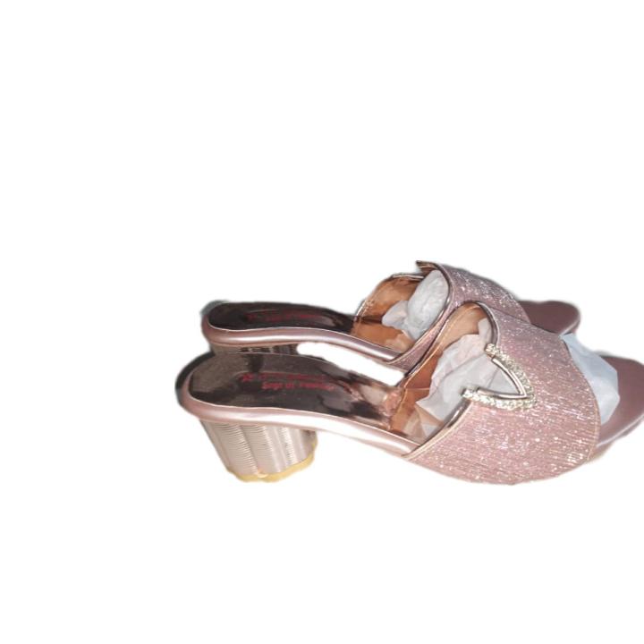 Dolphin Miles Women's Block Heels Shoe's Stylish V-cut Design