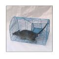 Mouse Trap For Home. 