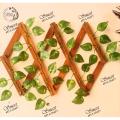 Artificial Money Plant Wooden Green Leaf Fence 2 Feet Retractable Climbing Frame for Home Gardening and Decoration. 