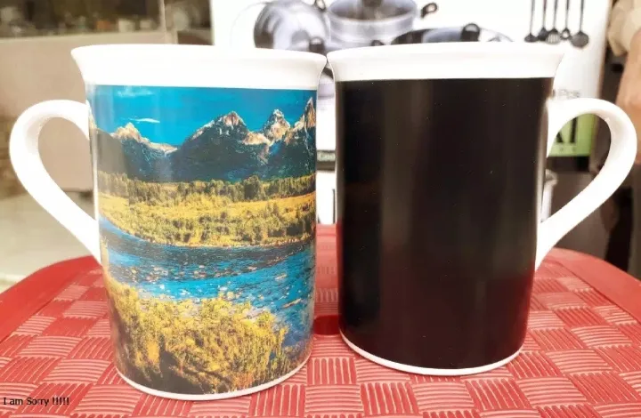 NATURE%20MAGIC%20COIOR%20CHANGING%20MUG%20/%20250%20ML%20-%20Image%202