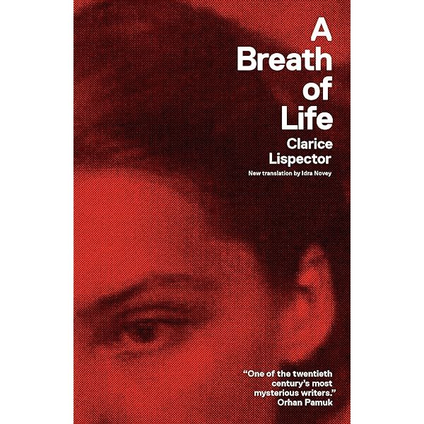 Near to the Wild Heart  Clarice Lispector ,  Giovanni Pontiero  (Translator) (Urdubazar Karachi)