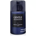Gentle Elsatys Reyane Tradition Perfume Body Spray for Men 250ML. 