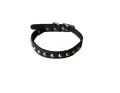 Dogs Neck Collar - Adjustable - 22 inches. 