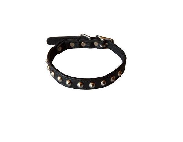 Dogs%20Neck%20Collar%20-%20Adjustable%20-%2022%20inches%20-%20Image%202
