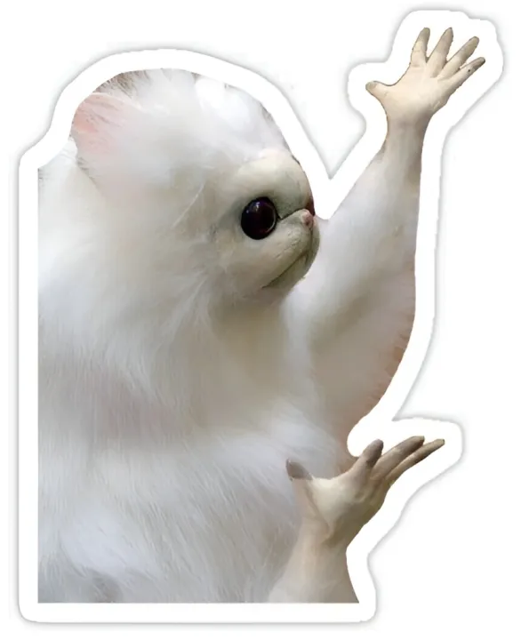 20+%20Funny%20Cat%20Meme%20Stickers%20Pack,%20Digital%20Funny%20Cat%20Memes,%20Viral%20Funny%20Cats,%20Laptop%20Stickers,%20Mobile%20Stickers,%20Decals%20-%20JangoMango%20Store%20-%20Image%208