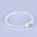 11W T4 Round Annular Tubes Lamps Bulb Fluorescent Ring Lamp Tube With 4 Pins Creek. 