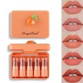 Dragon Ranee 5 Colors Small Lipstick Set Cute Portable Matte Lipstick. 