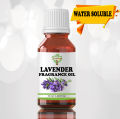 Herbology Lavender Water Soluble Fragrance oil for Diffuser - Lavender Fragrance Oil Humidifier Fragrance for Living Room, Car, and Office Spaces - Air Freshener. 