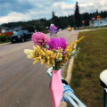 Bike Flower Vase for Handlebars, Funny Bike Handlebar Vase Decorations, Funny 3D Printed Mini Bike Accessories Riding C. 