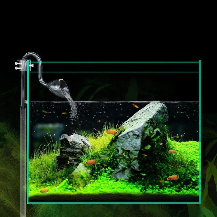 1.5Ft%20Planted%20aquarium%20-%20Image%206