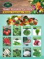 Pack of 12 winter Vegetables seeds With Free Gift (Total 1000 Plus seeds). 