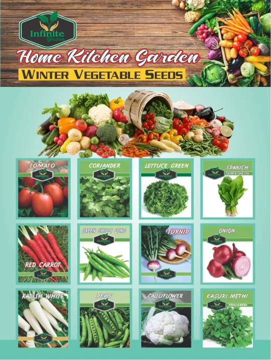 Pack%20of%2012%20winter%20Vegetables%20seeds%20With%20Free%20Gift%20(Total%201000%20Plus%20seeds)%20-%20Image%202