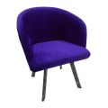 Special Velvet Dinning Chair. 