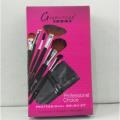 Glamorous Face Professional Brush Kit (24 piece). 