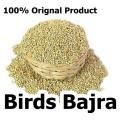 Bajra For All Birds - 5KG. 