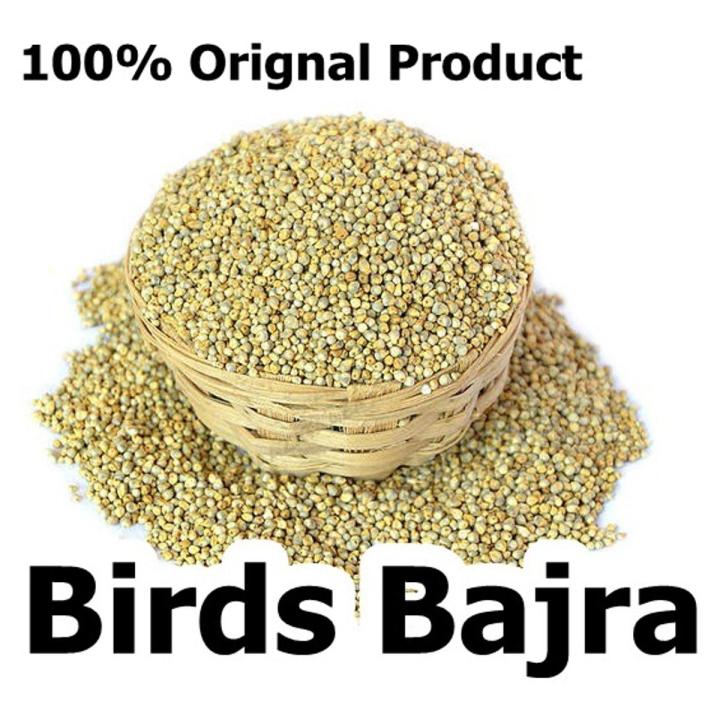 Bajra For All Birds - 5KG