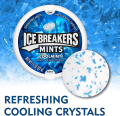 ICE Breakers Mints Coolmint Sugar Free 42g (Imported). 