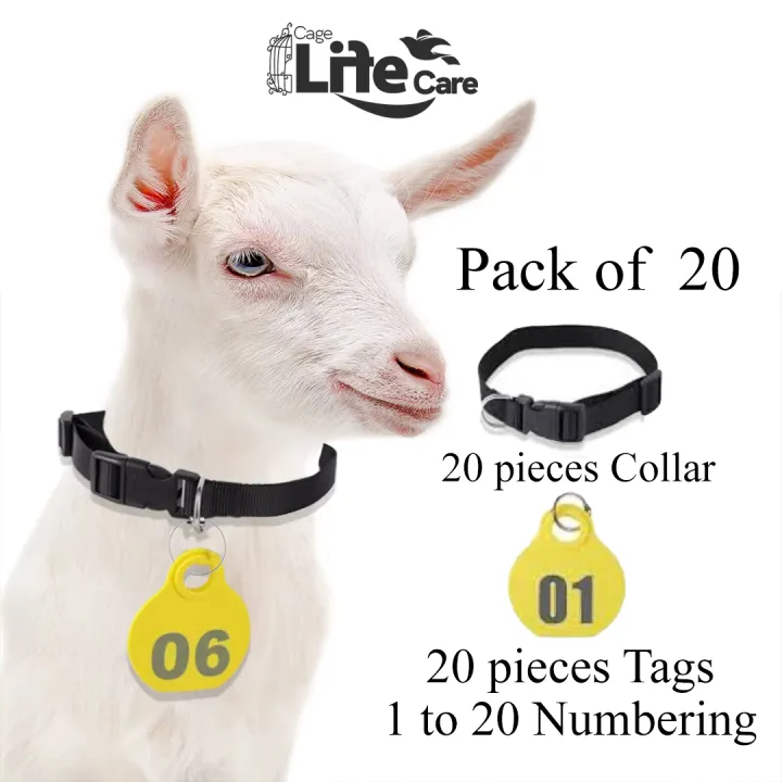 Goat%20Neck%20Tags%20+%20Collar%20Set%20(%20Plan%20Tags%20no%20Numbering%20Mention%20)%20Kisi%20Bhi%20Marker%20Se%20Ap%20Number%20Lihk%20Sahkte%20Hain%20-%20Image%209