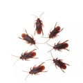 Pack Of 3 Cockroach Lizard Scorpio - Insect Toys - Looks Like Real Prank Toy Funny Toy For Kids Fun. 