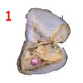 Freshwater Oyster Mussel Shell Beautiful Multicolor 7.5*6.5*1Cm Collection Vacuum Pack Love Wish Pearl Jewelry Accessories. 