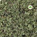 Go Nutra Lemon Balm Extract Powder 10:1 Strength Potent - Melissa Herbal Supplement 8 oz. 