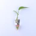NYT Irregular Wall Hanging Glass Planters Air Plant Furniture Terrariums Flower Pots Vases. 
