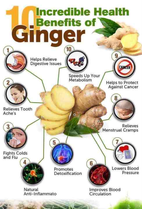 Ginger%20Powder%20Capsules%2060%20%7C%20Adrak%20Herbal%20%7C%20100%25%20Pure%20&%20Natural%20%7C%20Digestive%20&%20Immunity%20Support%20-%20Image%207