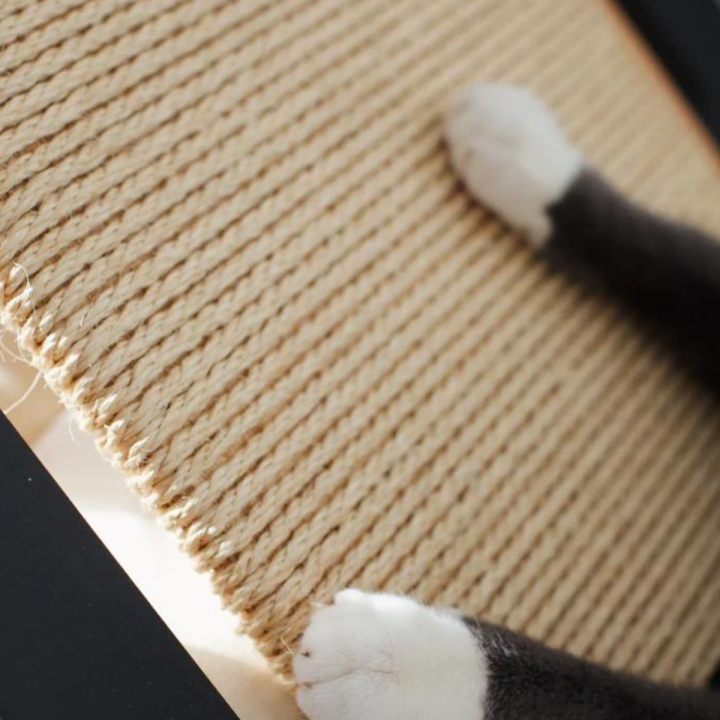 Pet%20House%20%7C%20Cat%20House%20%7C%20Modren%20Wooden%20Cat%20House%20%7C%20Indoor%20Cat%20House%20-%20Image%204