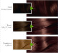 Garnier Color Naturals - 6.7 Sparkle Pure Chocolate Brown Hair Color. 
