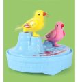 Cute Mini Bird Cage Toy with Moving Birds, Chirps, and Lights – VIP Color Edition. 
