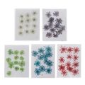 1 pack Anne's Lace Dried Flowers For Resin Jewelry Making or Resin art. 
