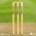 Fs sports Wooden Cricket Bails | Durable Hardwood & Ash Bails, Regulation Size for Training & Match Play – Set of 2 Bails for Cricket Stumps. 
