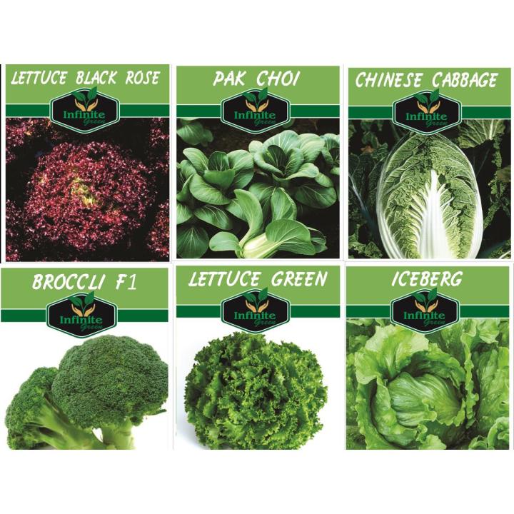 PACK OF 6 PACKET BROCCOLI, ICE BERG, PAK CHOI GREEN & RED SALAD, CHINESE CABBAGE