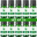 Set of 10 Fragrance oil for Aroma Oil for Diffuser | Scent oil for Humidifier and Perfumes, Candle or Soap Making | Concentrated Perfume Oil. 