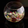 15cm Round Clear Glass Vase Fish Tank Ball Bowl Flower Planter Terrarium Home Decor Transparent color - 15cm. 