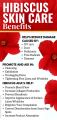 SK ORGANIC Hibiscus powder For Hair Fall And Growth 150g. 