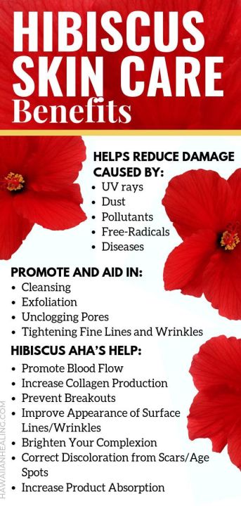 SK%20ORGANIC%20Hibiscus%20powder%20For%20Hair%20Fall%20And%20Growth%20150g%20-%20Image%204