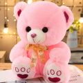 Teddy Bear stuff toy(Music also)14 inches size). 