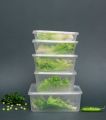 disposable Transparent Square food container 12 pices. 