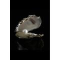 White Pearl Moti Stone orignal. 
