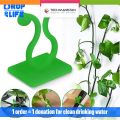 Techmanistan Pack of 10 - Self-Adhesive Plant Climbing Wall Fixture Clips, Vine Fixer Invisible Hook Plants Traction Clip. 