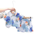 Elegantstunning Boys Short Sleeves Shirt Suit Summer Beach Casual Tops Shorts Two-piece Set For 2-6 Years Old Kids. 