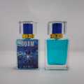 Adam | Perfume for Men | Long-Lasting Fragrance Gift Set - Premium Perfumes for Him. 