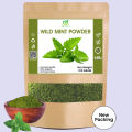 Mint Powder | Wild Mint Leaves Powder | Pahari Podina Leaves Powder- 100 Grams. 