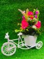 Cycle Decoration with Artificial Flower for Home Decor. 