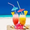 Disposable Umbrella Straws - Party Drinking Straw with Paper Umbrella. 